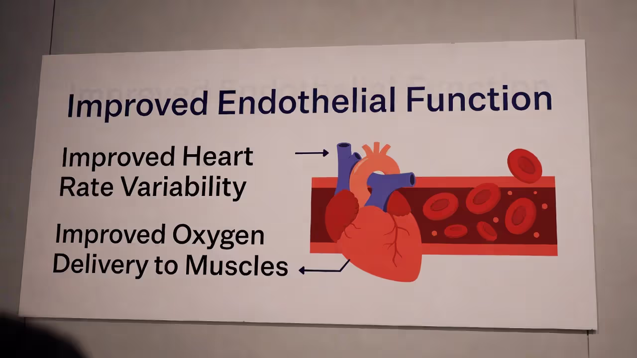 Infographic showing heart rate variability, endothelial function, and oxygen delivery benefits of omega-3s.
